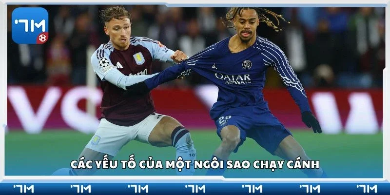 Các yếu tố của một ngôi sao chạy cánh