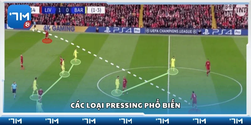 Khám phá các loại pressing phổ biến