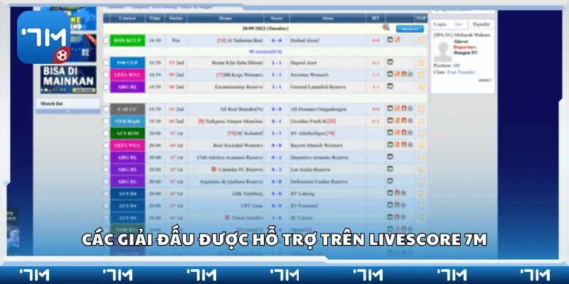 Một số giải đấu được hỗ trợ trên Livescore 7m