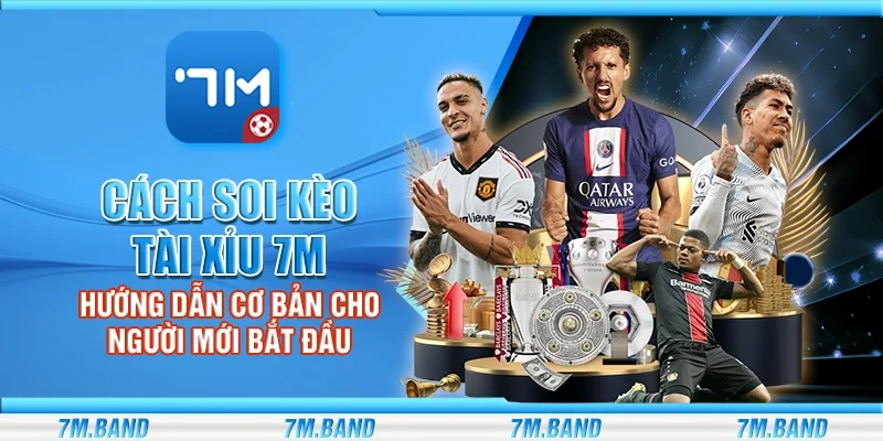 Cách soi kèo tài xỉu 7m – Hướng dẫn cơ bản cho người mới bắt đầu