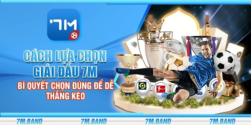Cách lựa chọn giải đấu 7m – Bí quyết chọn đúng để dễ thắng kèo