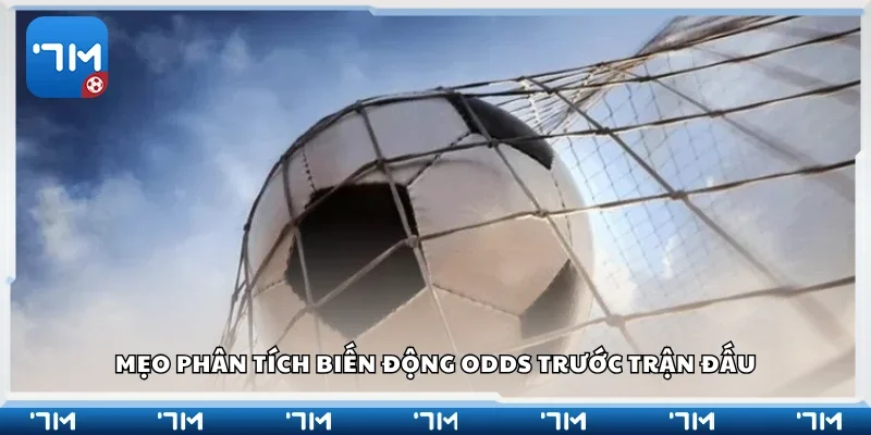 Bí kíp phân tích biến động Odds trước trận đấu