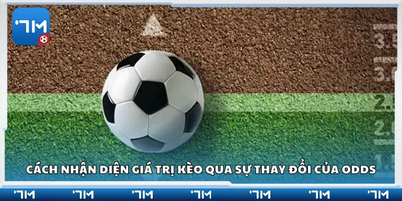 Cách nhận diện giá trị kèo qua sự thay đổi của odds
