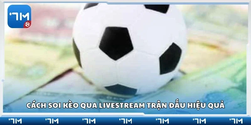 Cách soi kèo qua livestream trận đấu hiệu quả