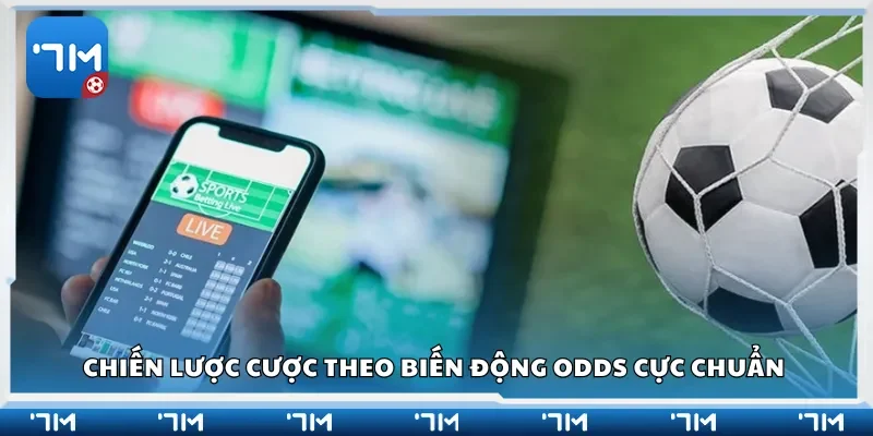 Chiến lược cược theo biến động odds cực chuẩn