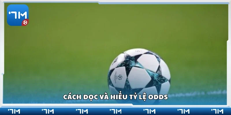Hướng dẫn cách đọc và hiểu tỷ lệ odds