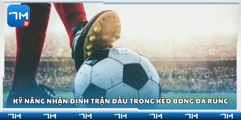 Kỹ năng nhận định trận đấu trong kèo bóng đá rung
