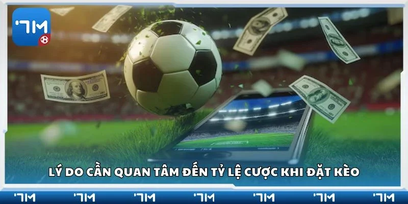 Lý do cần quan tâm đến tỷ lệ cược khi đặt kèo