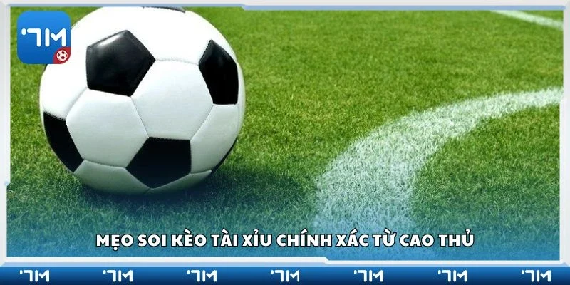 Mẹo soi kèo tài xỉu chính xác từ cao thủ