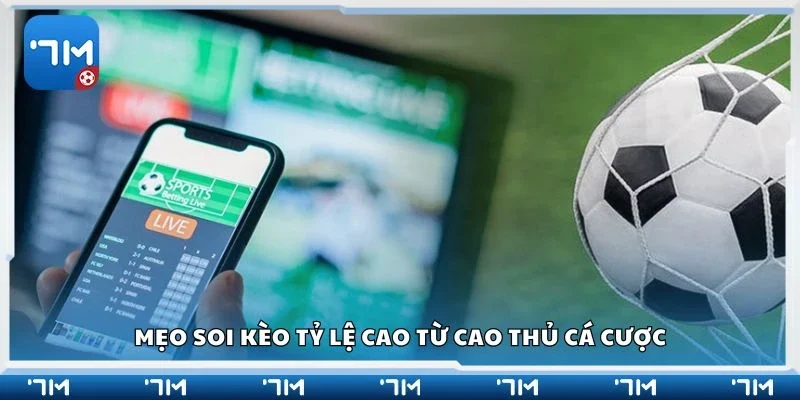 Mẹo soi kèo tỷ lệ cao từ cao thủ cá cược
