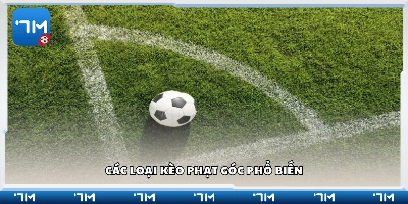 Một số loại kèo phạt góc phổ biến