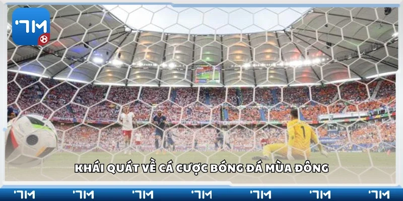 Tìm hiểu về cá cược bóng đá mùa đông