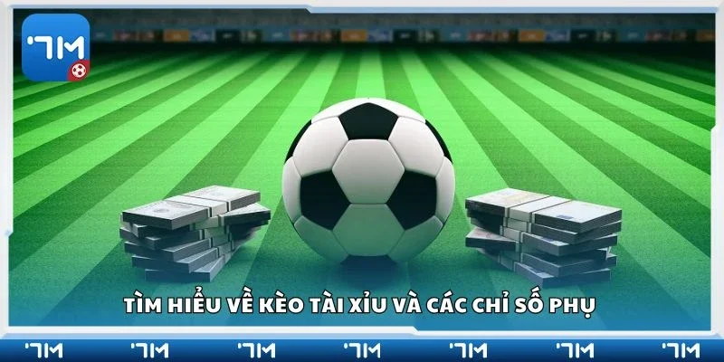 Tìm hiểu về kèo tài xỉu và các chỉ số phụ