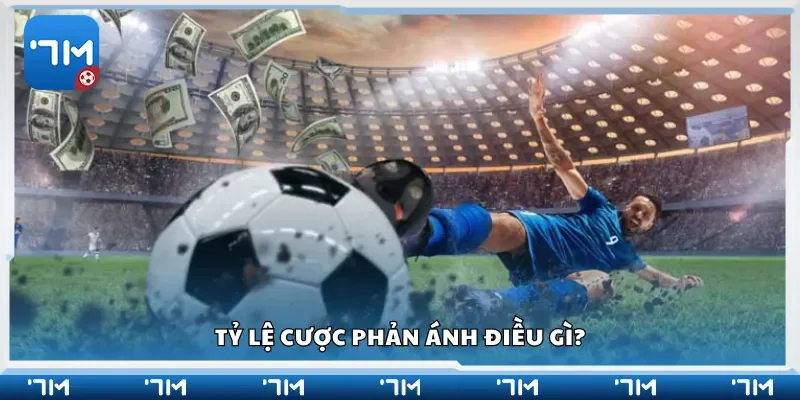 Tỷ lệ cược phản ánh điều gì?