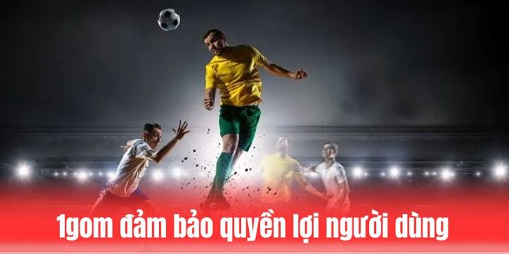 Chính sách bảo vệ quyền lợi của người tham gia 1gom