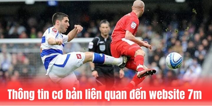 Thông tin cơ bản liên quan đến website 7m 
