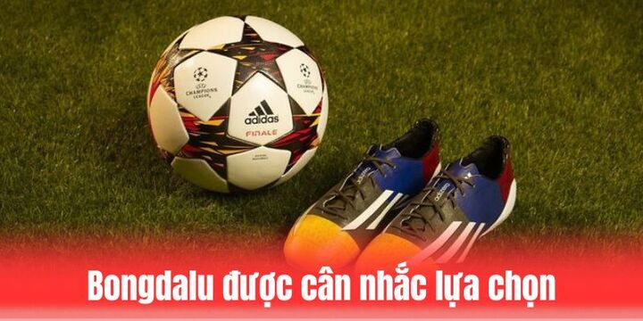 Bongdalu được nhiều người soi kèo cân nhắc lựa chọn hiện nay