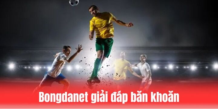 FAQ - Câu hỏi thường thấy liên quan đến website