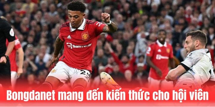 Vài nét cơ bản về trang web bongdanet
