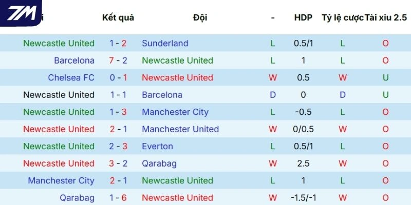 Hiệu quả thi đấu của Newcastle United