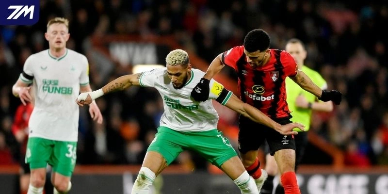 Thành tích Newcastle United vs Bournemouth