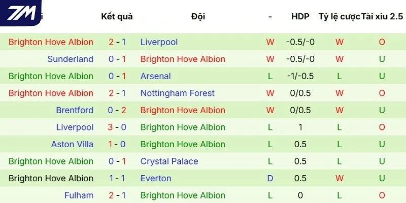 Thành tích thời gian qua của Brighton